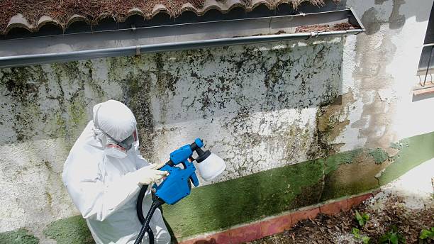 Top rated local Crawl Space Mold Remediation specialists in Summerhill, PA